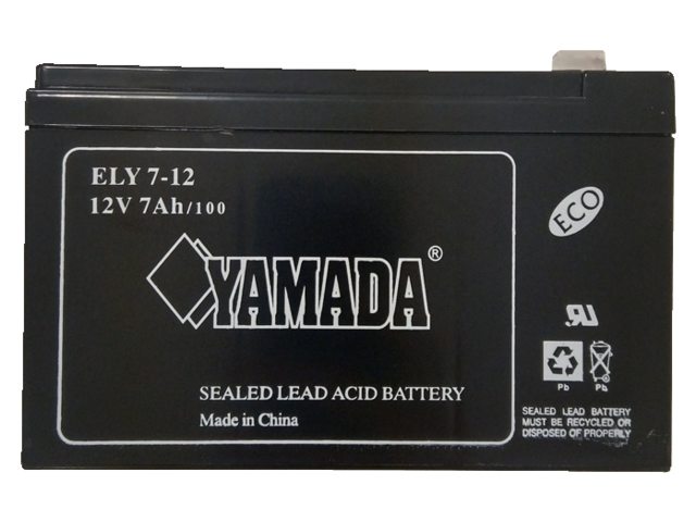 Bravo, battery (R210022)
