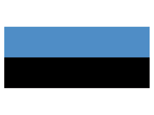 Talamex, Estonia flag, 20 cm x 30 cm