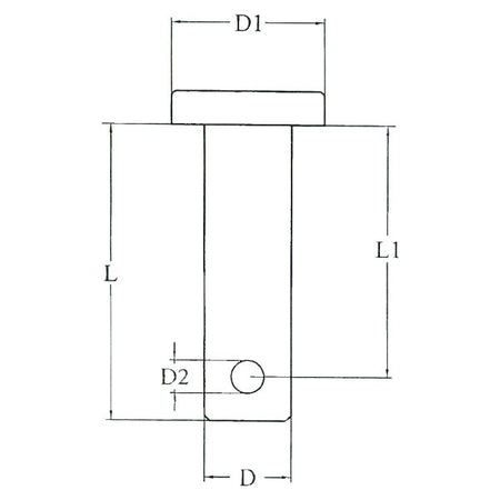LT 09900213