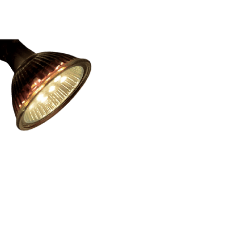 LT 14340589
