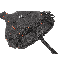 LT 20422024